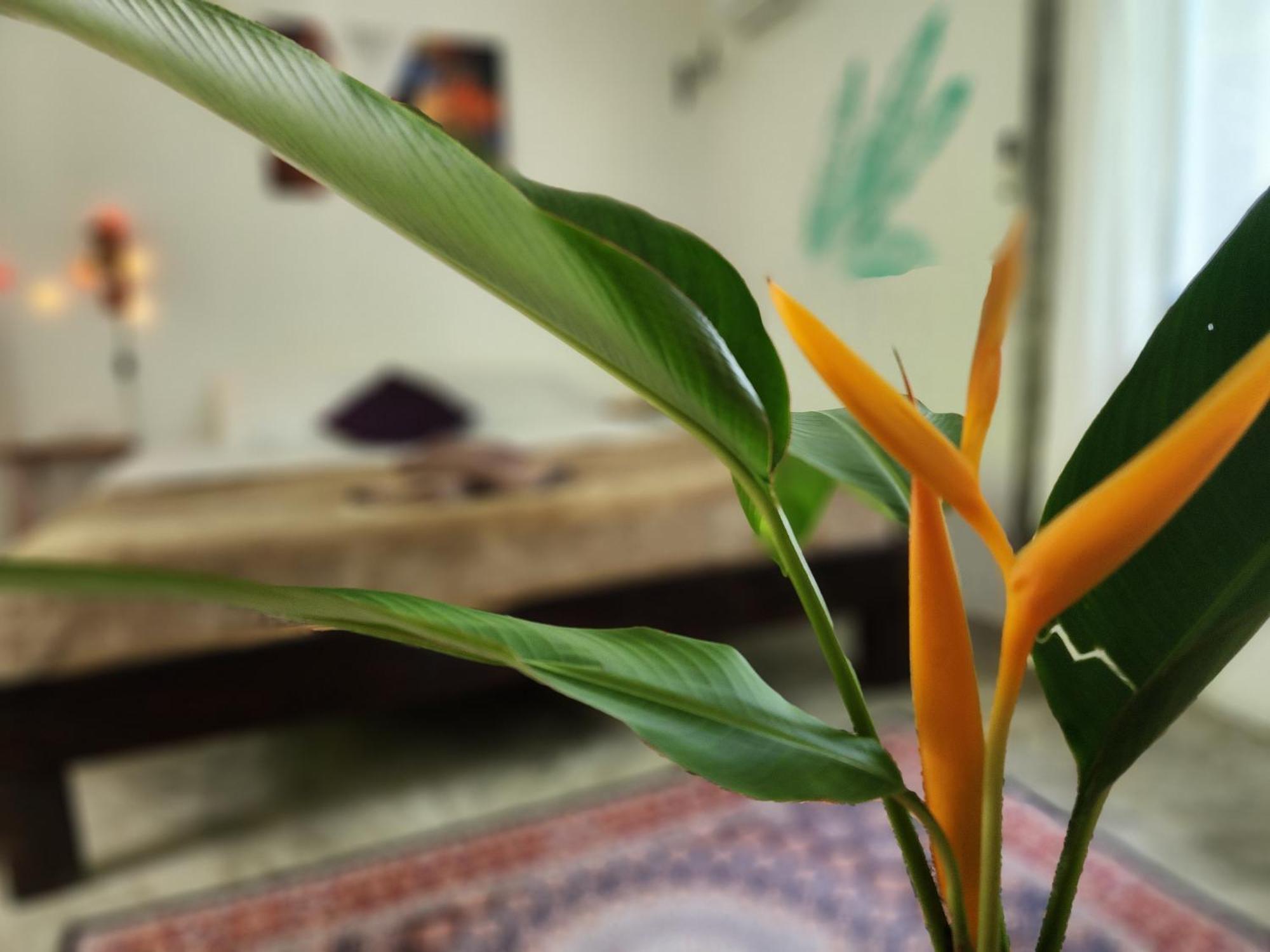 Feel Home No 3 Private House 2Br Hinkong 外观 照片
