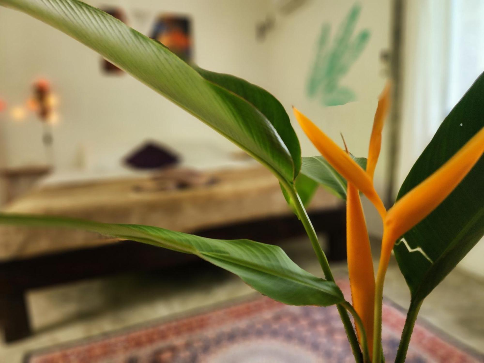 Feel Home No 3 Private House 2Br Hinkong 外观 照片