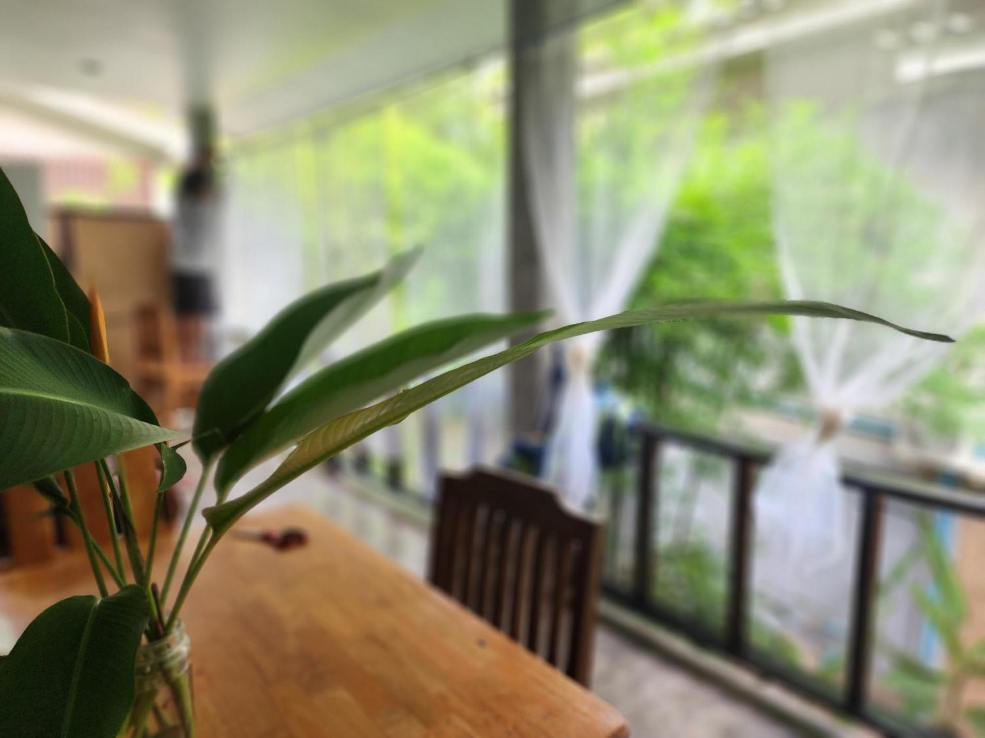 Feel Home No 3 Private House 2Br Hinkong 外观 照片